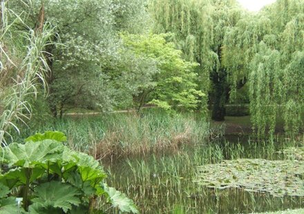L'étang du jardin botanique